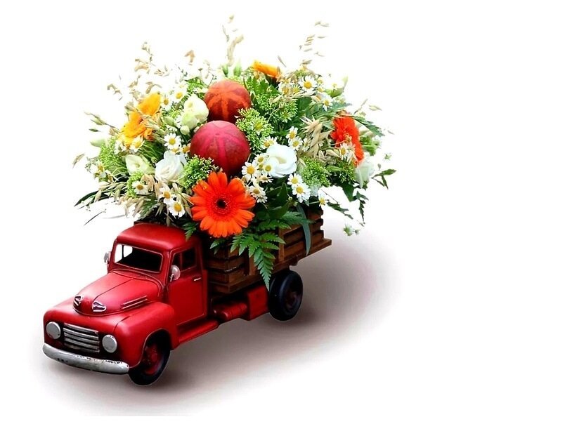 Canopiflorairp: Delivering Freshness and Beauty Directly to Your Doorstep